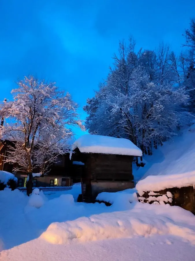 Appart Pointe De Nyon Morzine Centre 4 A 5 Pers Calme Jardin Vue Parking France